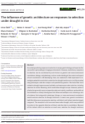 Cover page: The influence of genetic architecture on responses to selection under drought in rice