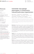 Cover page: Interstitial macrophage phenotypes in Schistosoma-induced pulmonary hypertension.