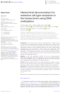 Cover page: Hierarchical deconvolution for extensive cell type resolution in the human brain using DNA methylation