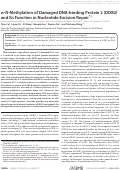 Cover page: α-N-Methylation of Damaged DNA-binding Protein 2 (DDB2) and Its Function in Nucleotide Excision Repair*