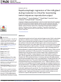 Cover page: Rapid autophagic regression of the milk gland during involution is critical for maximizing tsetse viviparous reproductive output