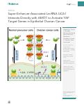 Cover page: Super-Enhancer-Associated LncRNA UCA1 Interacts Directly with AMOT to Activate YAP Target Genes in Epithelial Ovarian Cancer