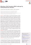 Cover page: Mature and functional viral miRNAs transcribed from novel RNA polymerase III promoters