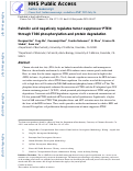 Cover page: Palmitic acid negatively regulates tumor suppressor PTEN through T366 phosphorylation and protein degradation