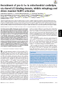 Cover page: Recruitment of pro-IL-1α to mitochondrial cardiolipin, via shared LC3 binding domain, inhibits mitophagy and drives maximal NLRP3 activation