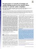 Cover page: Phosphorylation of serine96 of histidine-rich calcium-binding protein by the Fam20C kinase functions to prevent cardiac arrhythmia