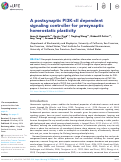 Cover page: A postsynaptic PI3K-cII dependent signaling controller for presynaptic homeostatic plasticity