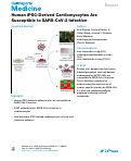 Cover page: Human iPSC-Derived Cardiomyocytes Are Susceptible to SARS-CoV-2 Infection