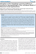 Cover page: Disruption of the Autophagy-Lysosome Pathway Is Involved in Neuropathology of the nclf Mouse Model of Neuronal Ceroid Lipofuscinosis