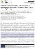 Cover page: Aldehyde dehydrogenase 3A1 deficiency leads to mitochondrial dysfunction and impacts salivary gland stem cell phenotype