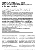 Cover page: ATF7IP2/MCAF2 directs H3K9 methylation and meiotic gene regulation in the male germline