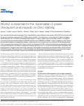 Cover page: HCLK2 is essential for the mammalian S-phase checkpoint and impacts on Chk1 stability