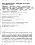 Cover page: Synthetic light-cone catalogues of modern redshift and weak lensing surveys with abacussummit