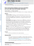 Cover page: Blood−brain barrier breakdown and neovascularization processes after stroke and traumatic brain injury