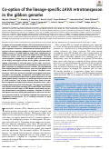 Cover page: Co-option of the lineage-specific LAVA retrotransposon in the gibbon genome