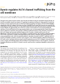 Cover page: Dynein regulates Kv7.4 channel trafficking from the cell membrane