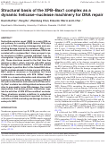 Cover page: Structural basis of the XPB–Bax1 complex as a dynamic helicase–nuclease machinery for DNA repair