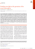 Cover page: Shedding new light on the generation of the visual chromophore