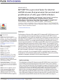 Cover page: BiP/GRP78 is a pro-viral factor for diverse dsDNA viruses that promotes the survival and proliferation of cells upon KSHV infection.