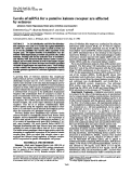 Cover page: Levels of mRNA for a putative kainate receptor are affected by seizures.