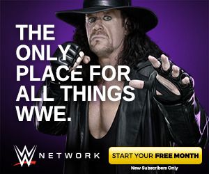 WWE Network Undertaker 300x250