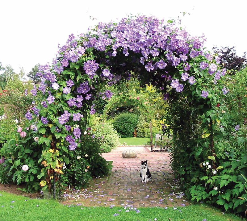 Arch, Gants Mill Garden