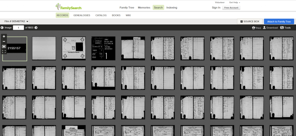 Microfilm screen shot