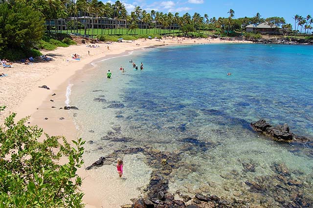 hawaii beach