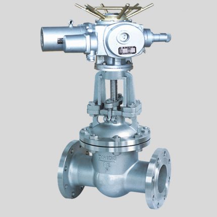 gate valve