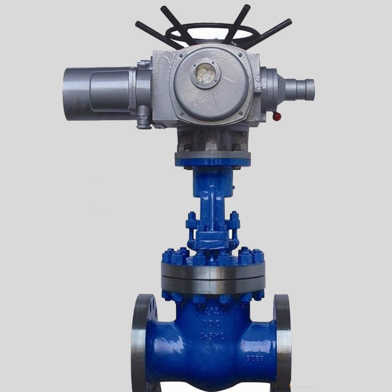 gate valve