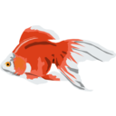 Goldfish