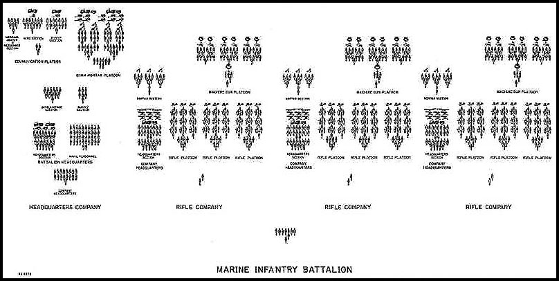 Infantry Battalion Organization Chart image.