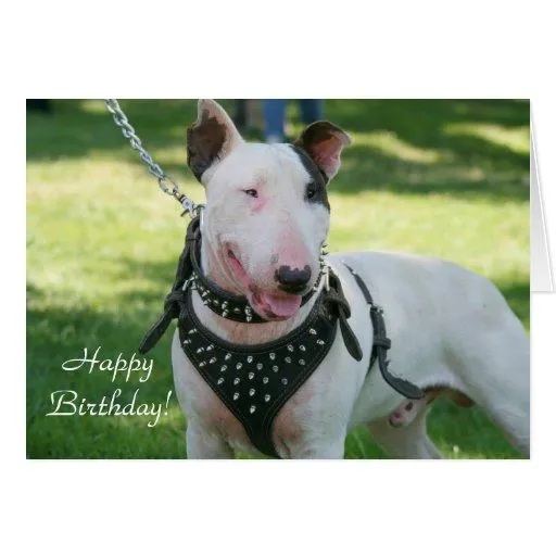 Tarjeta de felicitación de bull terrier del feliz de Zazzle.