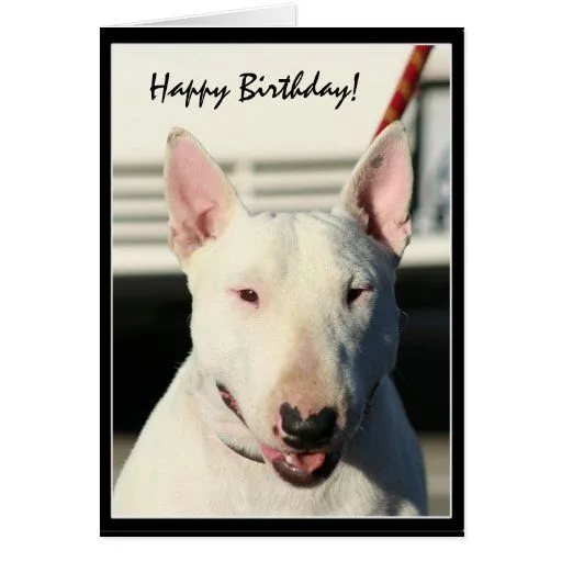 Tarjeta de felicitación de bull terrier del feliz de Zazzle.