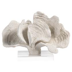 Coron Coastal Beach 7" White Coral Sculpture with Clear Base