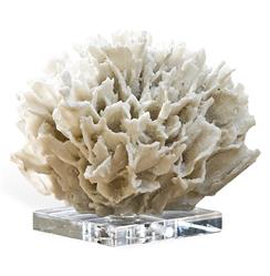 Regina Andrew White  White Ribbon Coral on Crystal Base