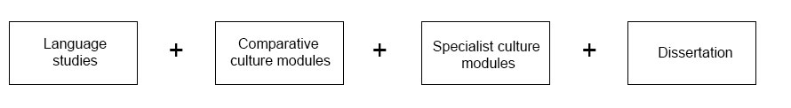 degree structure fourth year: Language studies + Comparative culture modules + Specialist culture modules + Dissertation