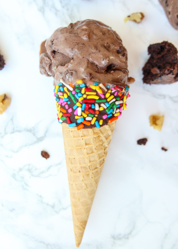 Chocolate Brownie Walnut Ice Cream  |  Lemon & Mocha