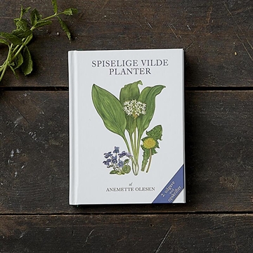 Spiselige vilde planter