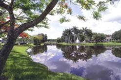 Florida landscape