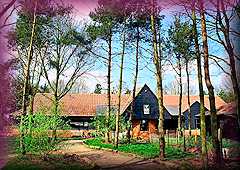 Hanningfield Reservoir Visitor Centre