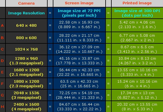 How many megapixels should my digicam have? image.