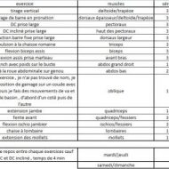 Exemple programme musculation