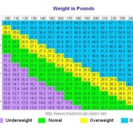 Muscle mass calculator for women