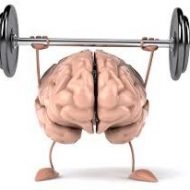 Muscler cerveau