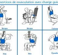 Musculation débutant programme