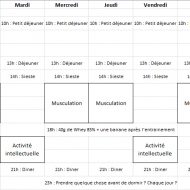 Musculation volume