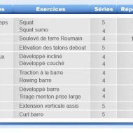 Planning d entrainement musculation