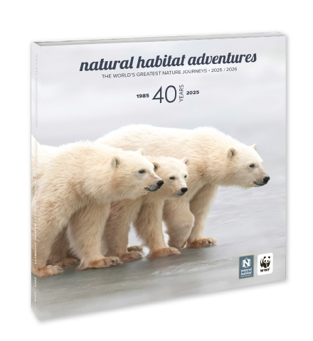 Nathab 2024 Catalog