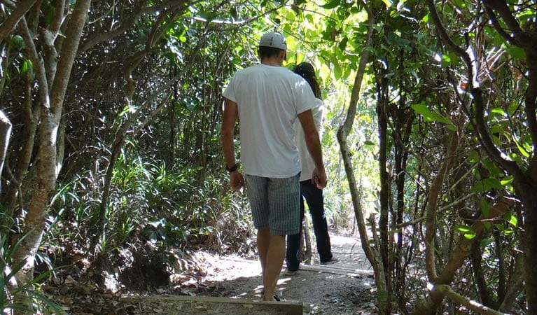 Two people walking along Three Sisters walking track under the cover of trees in Broken Head Nature Reserve. Photo &copy; Dianne Mackey